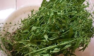 三月三荠菜花煮鸡蛋的功效