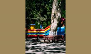 六朝古都名南京是什么生肖 六朝古都名南京是什么生肖