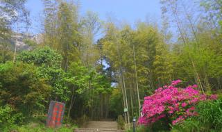 通关打法攻略 荒野日记一路向北攻略 通关打法攻略 荒野日记一路向北攻略