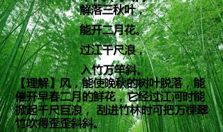 解落三秋叶能开二月花