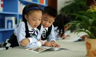 申请课后服务的原因怎么写