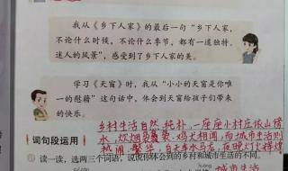 说新闻四年级下册口语交际