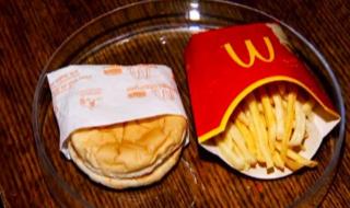 麦当劳汉堡薯条10年不发霉