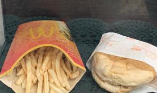 麦当劳汉堡薯条10年不发霉